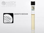 Hardy Diagnostics GN Broth K39 - 20.0 Each - MDL-HADK39