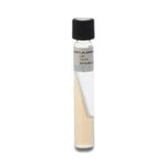 Hardy Diagnostics Phenylalanine Agar Slant, 6.5 mL, 20 per Pack - L21 - 20 Each
