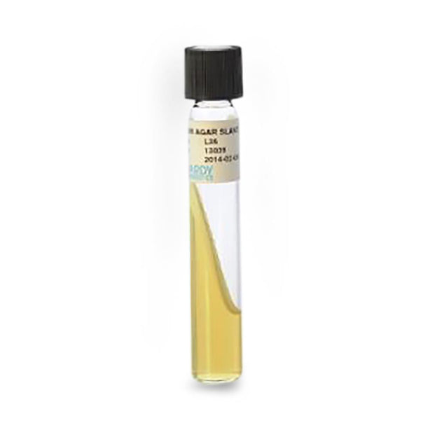 Hardy Diagnostics BHI (Brain Heart Infusion) Agar Slant, 5.5 mL Fill, 16 mm x 100 mm Tube, 20 per Pack - L36 - 20 Each