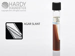 Hardy Diagnostics Chocolate Agar Slant L37 - 20.0 Each