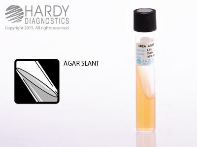 Hardy Diagnostics Urea Agar L65 - 20.0 Each - MDL-HADL65