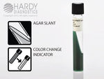 Hardy Diagnostics Simmons Citrate Agar Slant L80 - 20.0 Each