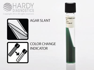 Hardy Diagnostics Simmons Citrate Agar Slant L80 - 20.0 Each