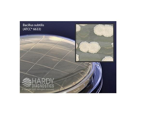 HARDY DIAGNOSTICS TSA with Lecithin and Tween P34 10 Each-MDL-HADP34
