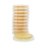 Hardy Diagnostics SabDex Agar Plate P36 - 10.0 Each