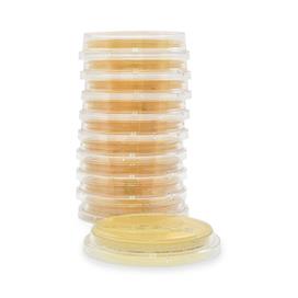 Hardy Diagnostics SabDex Agar Plate P36 - 10.0 Each