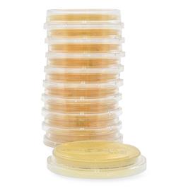 Hardy Diagnostics Tryptic Soy Agar with Lecithin and Tween 80, USP, Irradiated - HADP520