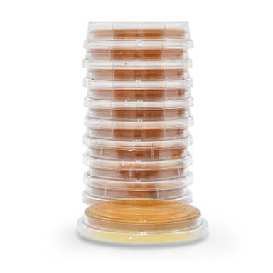 Malt Extract Agar with Lecithin and Tween - P93 - 10 Each - MDL-HADP93