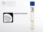 Hardy Diagnostics Hardy Diagnostics Tryptic Soy Broth (TSB) - HADR31
