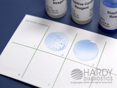Hardy Diagnostics StaphTEX Blue A Rapid Latex Agglutination Test ST50 - 50.0 Each - MDL-HADST50