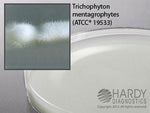 Hardy Diagnostics Potato Flake Selective Agar W159 - 10.0 Each