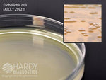 Hardy Diagnostics Brain Heart Infusion Agar W15 - 10.0 Each - MDL-HADW15