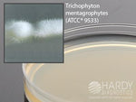 Hardy Diagnostics Inhibitory Mold Agar W25 - 10.0 Each