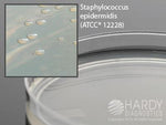 Nutrient Agar Plate - W51 - 10 Each - MDL-HADW51