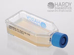 Middlebrook 7H11 Selective - X28 - 20 Each - MDL-HADX28