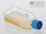 Hardy Diagnostics Sabdex Agars X40 - 20.0 Each