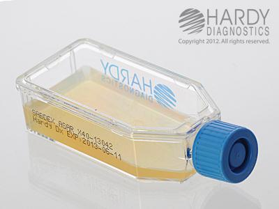 Hardy Diagnostics Sabdex Agars X40 - 20.0 Each