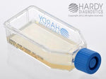 Hardy Diagnostics Emmon's Sabdex (Sabouraud Dextrose) Agar, Plastic Hardyflask - X57 - 20 Each