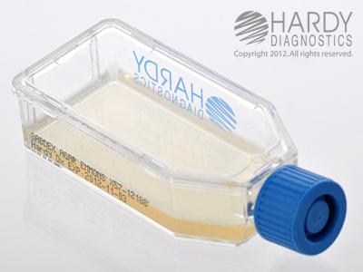 Hardy Diagnostics Emmon's Sabdex (Sabouraud Dextrose) Agar, Plastic Hardyflask - X57 - 20 Each