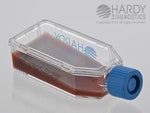 Hardy Diagnostics X73 Sabhi Agar With Blood, Chloramphenicol And Cycloheximide, 12 mL, Hardyflask - MDL-HADX73 - 20 Each