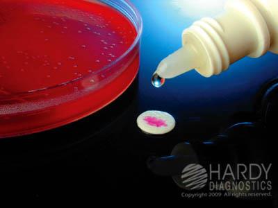 Hardy Diagnostics Z175 PYR Test Kit, 100 Tests, With 20 mL Chromogenic Developer, On Paper Disks - MDL-HADZ175 - 100 Each
