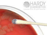 Hardy Diagnostics OxiSticks Oxidase Swabs - HADZ193