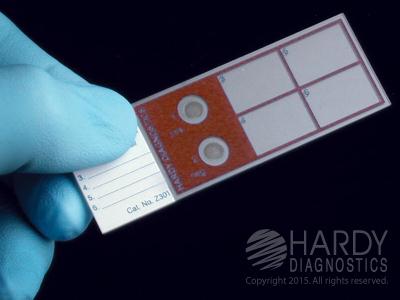 Hardy Diagnostics Q-Slide Z301 - 5.0 Each