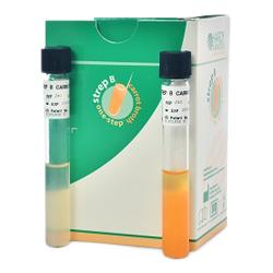 HARDY DIAGNOSTICS Strep B Carrot Broth One-Step Kit Z40 20 Each - MDL-HADZ40