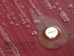 Hardy Diagnostics Nitrate Gram Negative Z7071 - 50.0 Each - MDL-HADZ7071