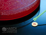 Hardy Diagnostics Hardy Diagnostics Nitrocef Disks Z7301 - 50.0 Each - MDL-HADZ7301