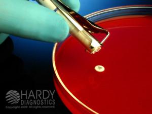 Hardy Diagnostics Cefotaxime AST Z8225 - 250.0 Each