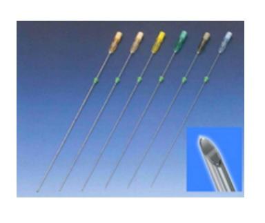 HAKKO PRODUCTS Havels Quincke Spinal Needles 4PTC20 10 Each - MDL-HAV4PTC20