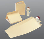 HEALTH CARE LOGISTICS Prescription File Folders PRESCRIPTION FILE FOLDER DOUB 100 Each - MDL-HCL1976