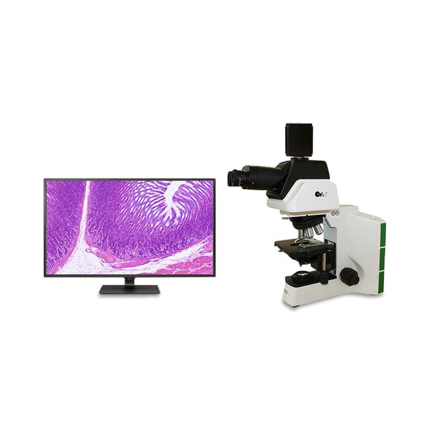 Microscope World Trinocular Pathology Microscopes - MD-FO4-ERGO DIGITAL PATH - 1 Each - MDL-HGDMDFO4ERUHD