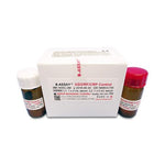 Kamiya Biomedical Company Kamiya Rheumatology Controls K55C-2M - 1.0 Each