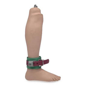 Humane Restraint Company, Inc Locking Leather Belts AA-501XL -