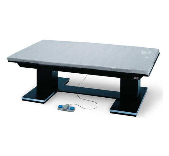 HAUSMANN IND Hausmann Floor-Mounted Parallel Bars 1388 1 Each - MDL-HSM1388