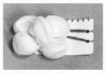 TELEFLEX MEDICAL Sterile Tonsil Sponges 200334 500 Each - MDL-HUD200334