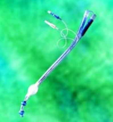 TELEFLEX MEDICAL Teleflex Endobronchial Tubes with Carina Hook 5-16135 1 Each - MDL-HUD516135