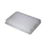 96-Well U-Bottom Deep Well Clear Polypropylene Plate, 96 Wells, Nonsterile, 2 mL - DP2M-RD-96-N - 50 Each