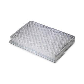 96-Well U-Bottom Deep Well Clear Polypropylene Plate, 96 Wells, Nonsterile, 2 mL - DP2M-RD-96-N - 50 Each