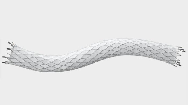 Cr Bard FLUENCY Plus Endovascular Stents FEM09060 - 1.0 Each