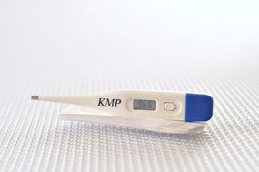 Kerma Medical Products Maximum (Digital) Thermometer 16811 - 24.0 Each