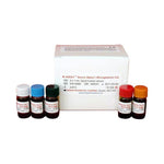 Kamiya Biomedical Company Diagnostic Assay Calibrators KAI-068C - 1.0 Each