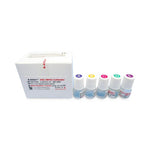 Kamiya Biomedical Company Diagnostic Assay Calibrators KAI-079C - 1.0 Each