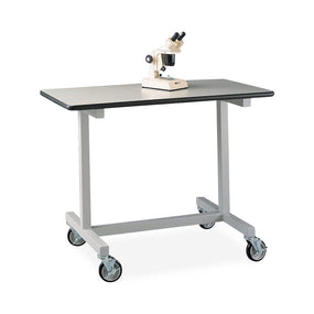 Labconco Corp Mobile Equipment Table with Casters 3819100 - 1.0 Each - MDL-LBC3819100