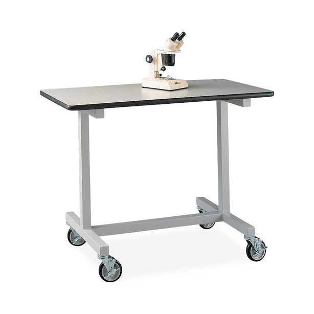 Labconco Corp Mobile Equipment Table with Casters 3819100 - 1.0 Each - MDL-LBC3819100