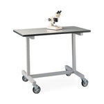 Labconco Corp Laboratory Mobile Bench 8060000 1.0 Each-MDL-LBC8060000