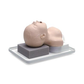 Laerdal Laerdal Intubation Trainers and Accessories 250-00101 1.0 Each-MDL-LDM25000101