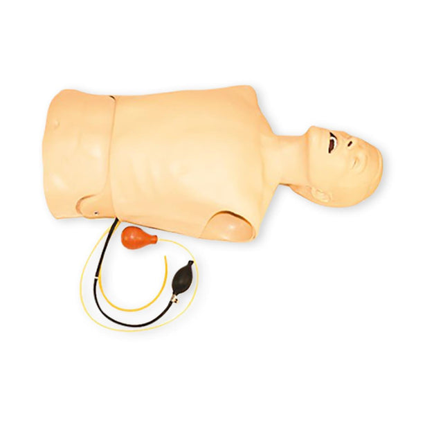Laerdal Laerdal Kelly Torso Airway Trainers 260-00001 - 1.0 Each